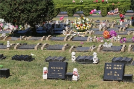 长青园骨灰林墓型